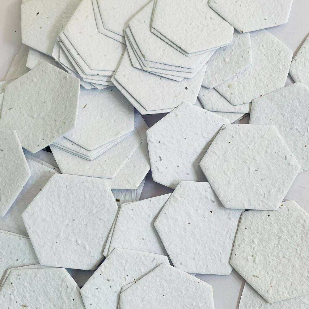 plain seed paper hexagons