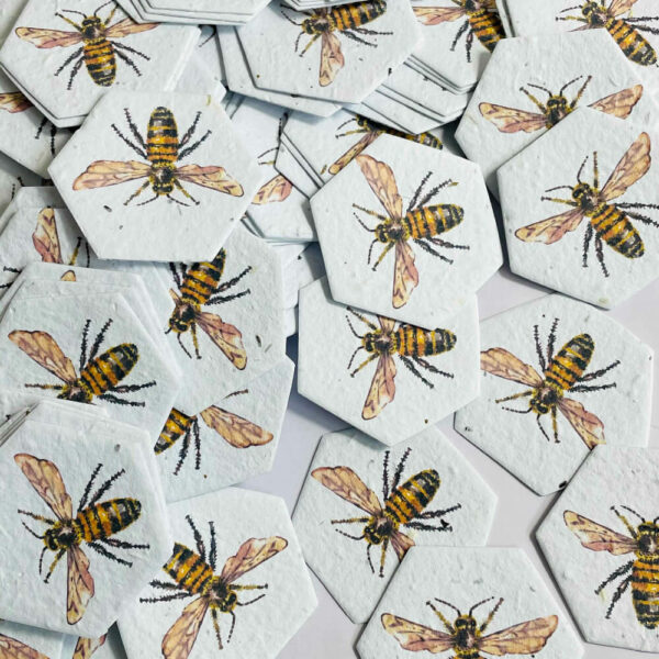 Plantable Seed Paper Hexagons Honeybee