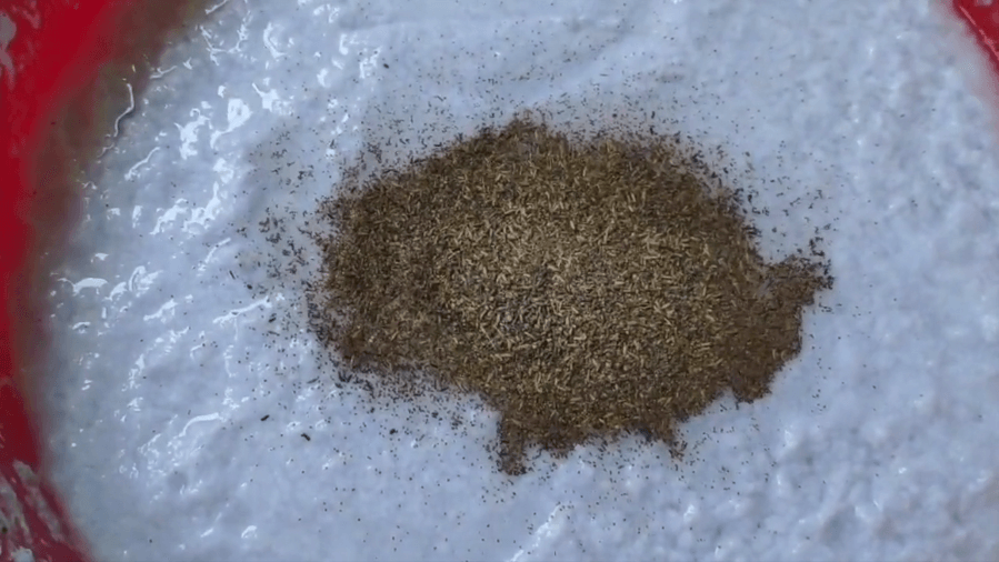 seeds being mixed in to paper pulp 