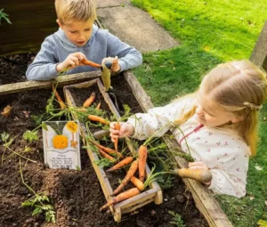 growing carrots with your plantable book