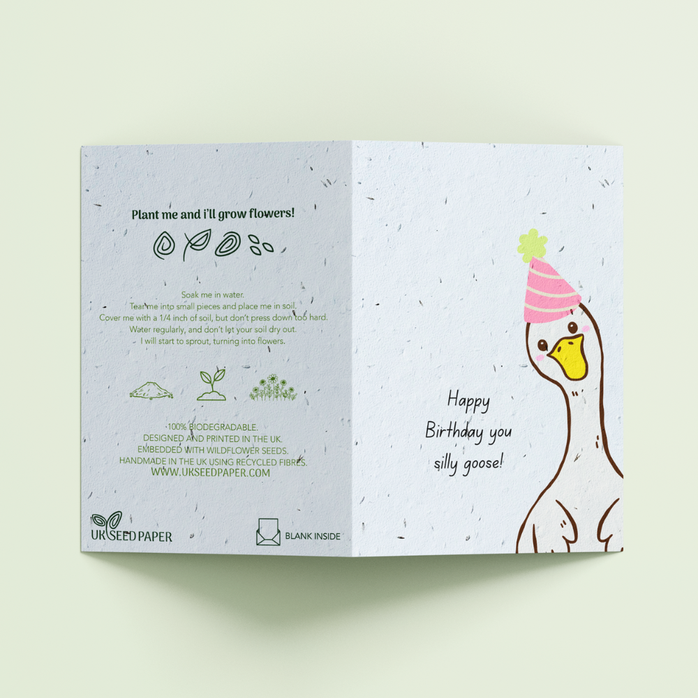Seed Paper Birthday Card - Silly Goose - Image 3