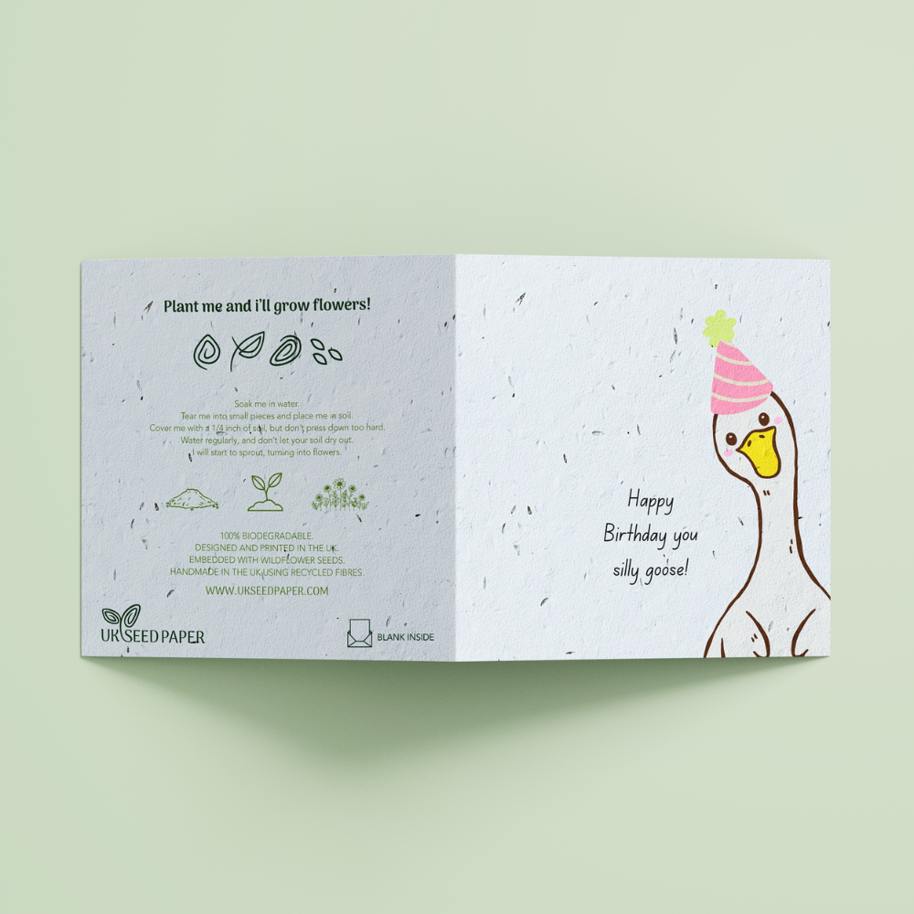 Seed Paper Birthday Card - Silly Goose - Image 2
