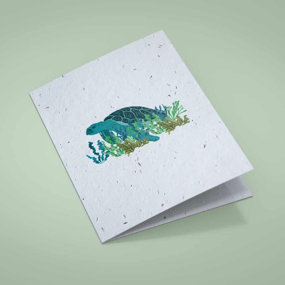 Seed Paper Greetings Card - The Turtle