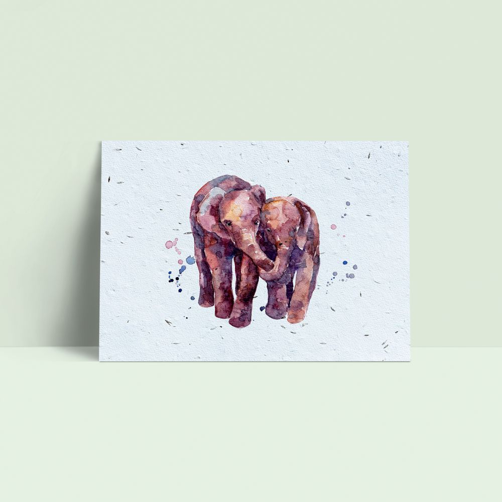 Seed Paper Postcard - The Elephants