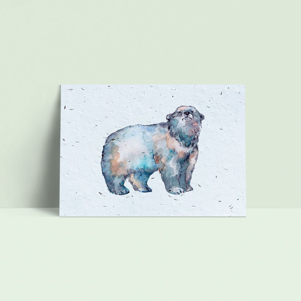 Seed Paper Postcard - The Polar Bear