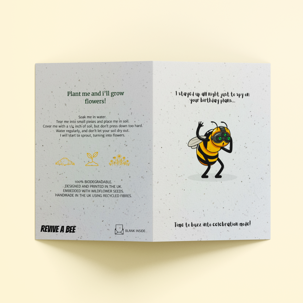 Seed Paper Greetings Card - The Spying Bee