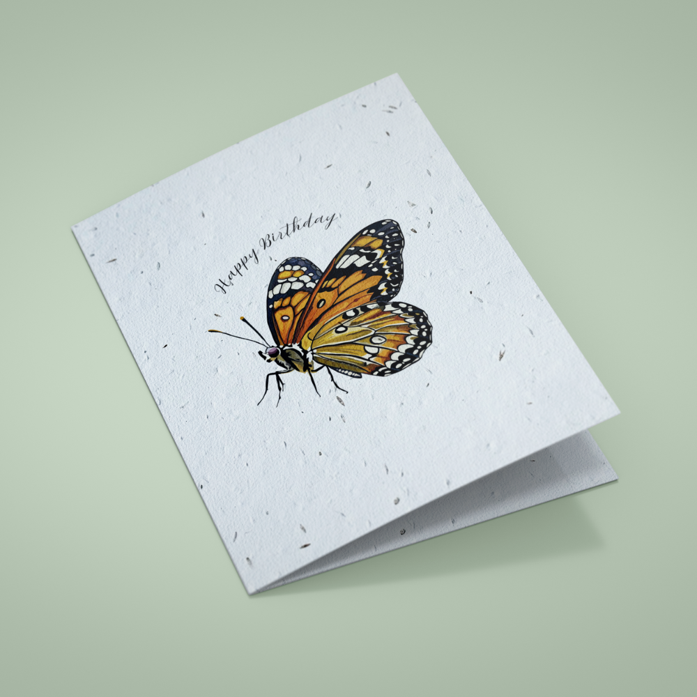 Seed Paper Birthday Card - The Butterfly