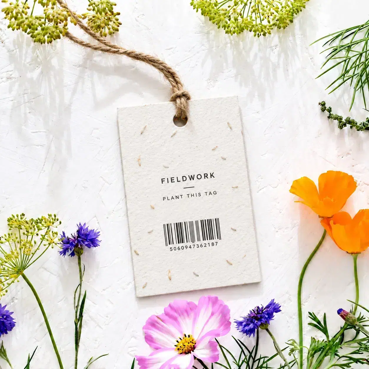 Back of a plantable seed paper swing tag showing 'plant this tag' text and a barcode, with visible seeds